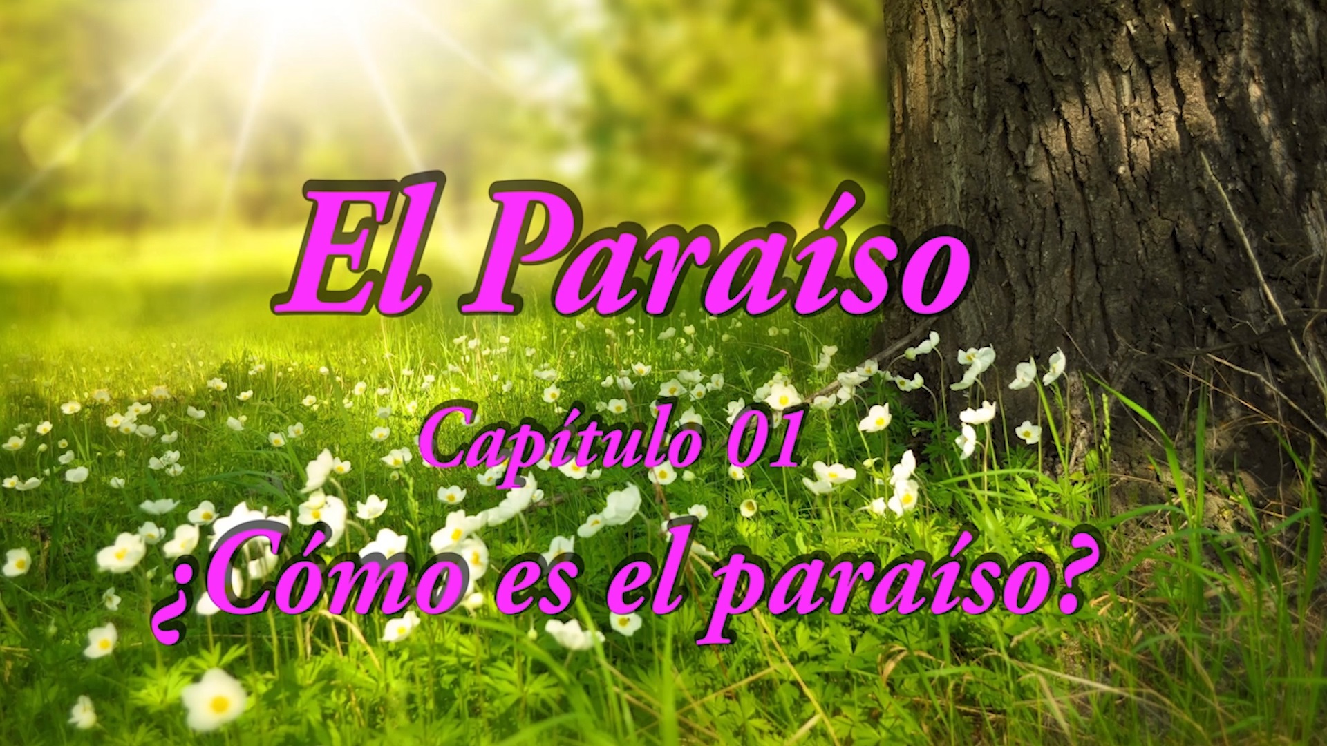 El Paraíso, Capítulo 01, Cómo es el paraíso,