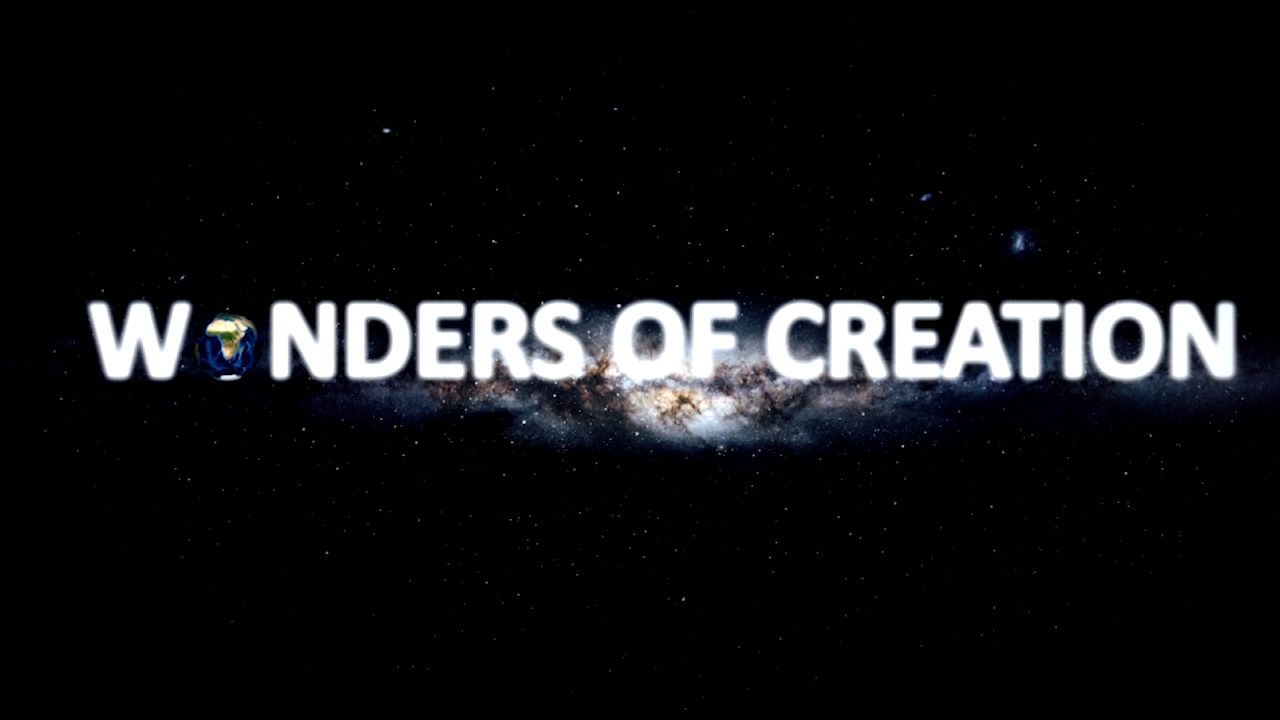 Wonders OF Creation